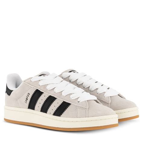 adidas originals campus sneaker.